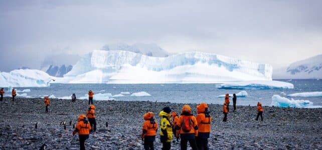 Comment organiser un voyage en Antarctique : tout ce que vous devez savoir